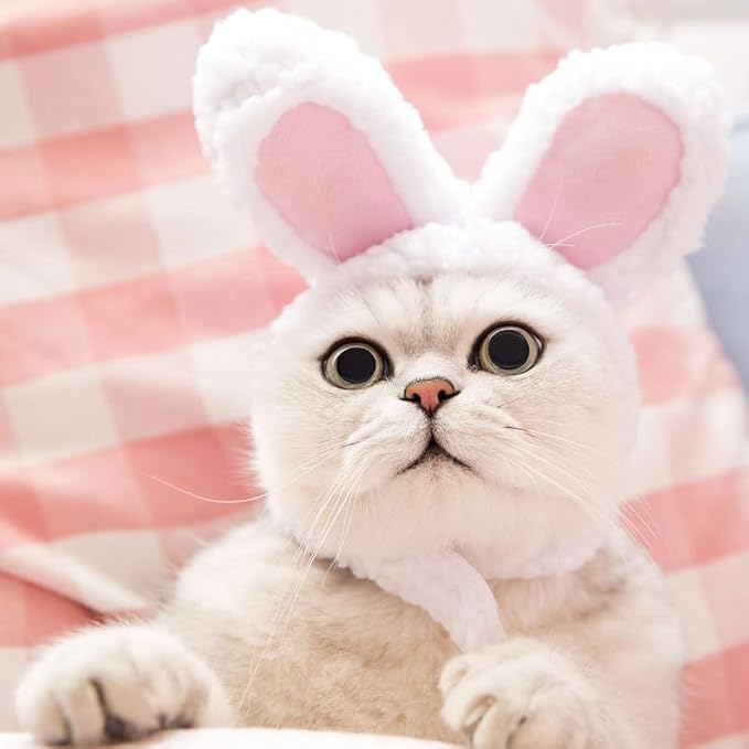 Cat Outfit Cats Hat Kitten Costume Bunny Sheep Lion Mane Frogs Hat Cute OMG Adorables Style Party Costume Accessory Headwear(Size M, Bunny)