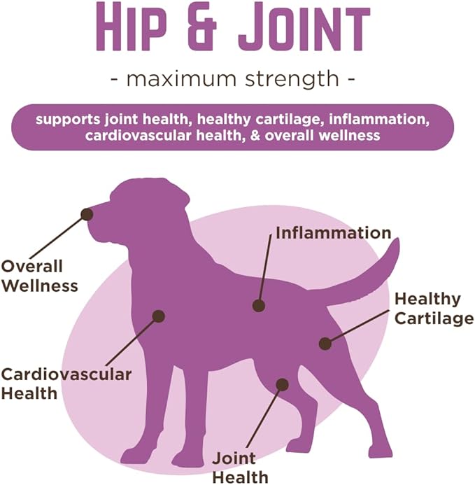 Dr. Joseph's VetPro Complete Dog Hip & Joint Supplement for Arthritis Pain Relief – High-Strength Glucosamine & Chondroitin Chews for Senior Dogs – Vet Formulated Daily Treats, Chicken Flavor, 60 Ct