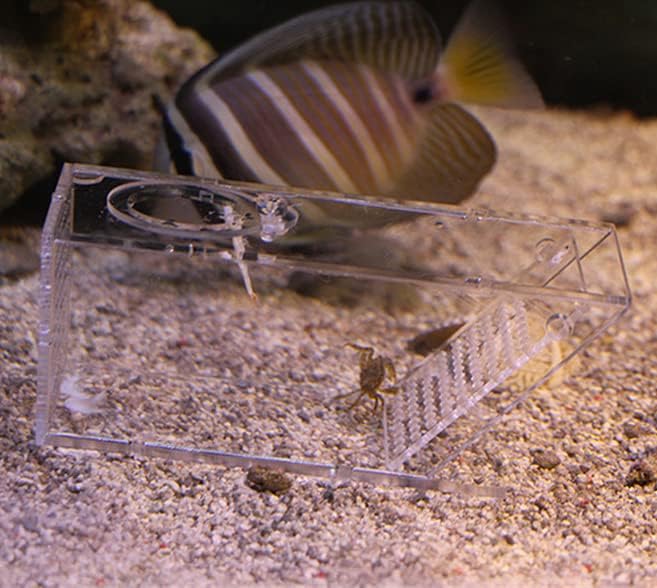 Acrylic Aquarium Crab Trap Fish Tank Shrimp Snail Catcher One Way Valve Box