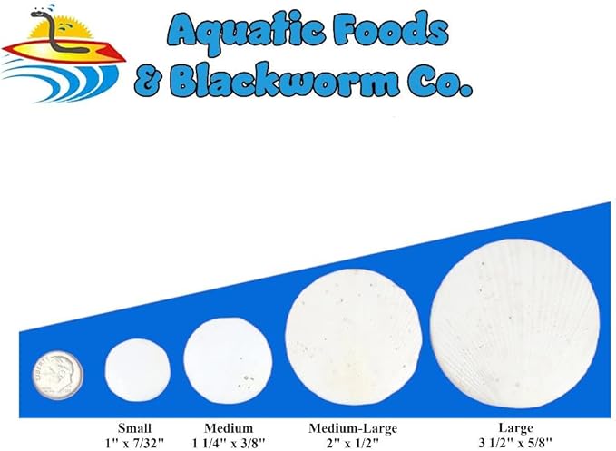 Aquatic Foods Inc. Calcium Enriched Sinking Food Disks and Holiday Feeding Food for Shrimp, Snails, Crabs, Crayfish, Hermit Crabs, Plecos, Catfish, All Tropical Fish. 100 Small Discs Jar