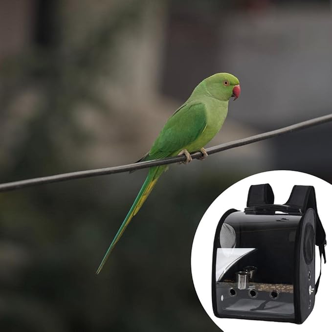 Compact Carrier for Birds with Clear View and Travel Features, Black