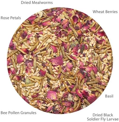 Exotic Nutrition Bee-Tastic - Healthy All-Natural Chicken Treat - Dried Insects, Flowers, Herbs Wheat Berries & Bee Pollen - Promotes Healthy Chickens & Eggs (1.5 lbs)