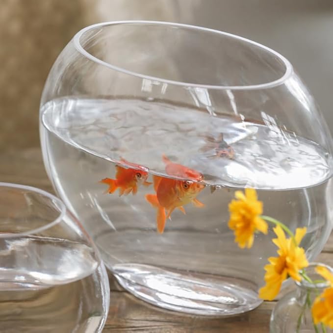 Multi-Function Glass Fish Tank 9.84 Inch Transparent Aquarium Bowl for Home Desktop Office Decor with Fish Accessories