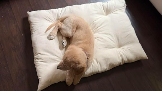 Rectangular Muslin Dog Bed Insert with Raw Cotton Filler, Natural Pet Bed Cushion Insert, Breathable Inner Pillow for Dog Bed Covers (Medium 36"x22"x4")