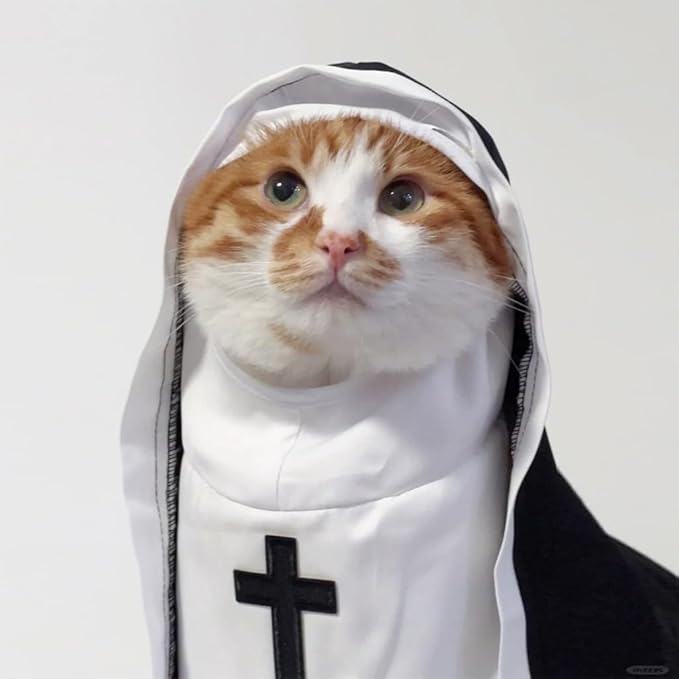 Cat Costume Nun Dress, Nun Dog Costume, Funny Halloween Cloak Outfit for Cat Small Medium Dogs, Cosplay Apparel for Photoshoots Parties Social Media, Adorable Pet Clothing (Black, Medium)