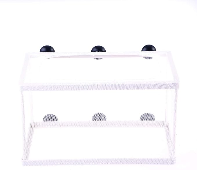 Fish Box- Aquarium Hatchery Net, Fish Breeding Box with Suction Cup for Aquarium Fish Tank (Size L)