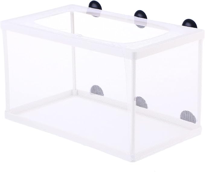 Fish Box- Aquarium Hatchery Net, Fish Breeding Box with Suction Cup for Aquarium Fish Tank (Size L)