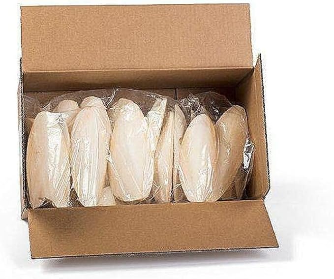 Prevue Pet Products 6 inch Bulk Cuttlebone - 25 per Box with Holder, Large