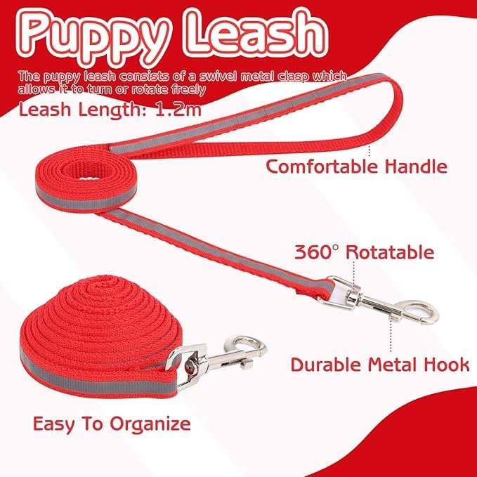 Orange Cat Collar and Leash Set, Reflective Puppy Collar and Leash Adjustable Quick Release Dog Collars for Small Dogs with Bell for Tiny Little XXS XS Extra Small Breed Pets Kittens Girls Boys
