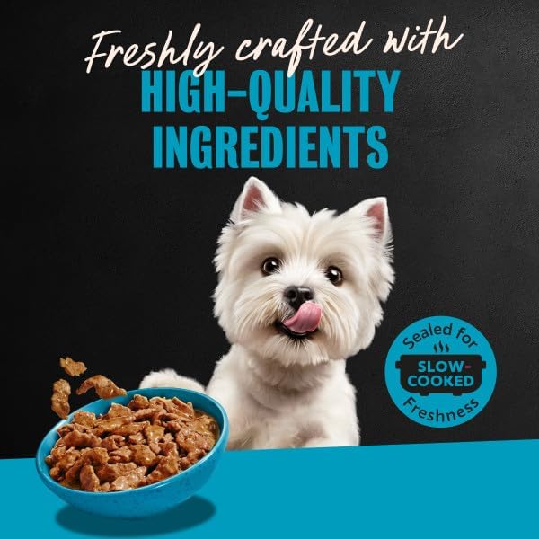Cesar Filets in Gravy Adult Wet Dog Food Variety Pack, Filet Mignon, New York Strip, and Prime Rib Flavors, 3.5 oz. Easy Peel Dog Food Tray, 24 Count (Pack of 1)