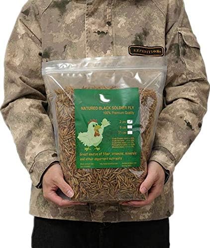 HANDPOINT Black Soldier Fly Larvae Superior to Dried Mealworms for Chickens - Non-GMO - Treats for Birds Chickens Hedgehog Hamster Fish Reptile Turtles (10LB)