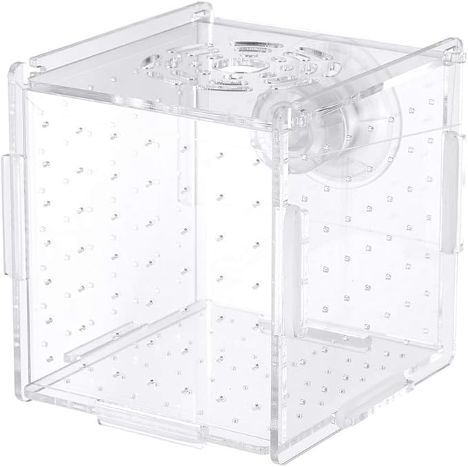 Fish Breeding Box- Box Hatchery Incubator Aquarium Fish Breeding Boxes Divider Hatching Boxes Accessory for Small Shrimp Clownfish Guppy-Small Suction Cup