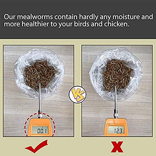HANDPOINT 2 lbs Dried Mealworms, 100% Non-GMO Natural High-Protein,Treats for Chicken, Fish, Bird Food(2LB)