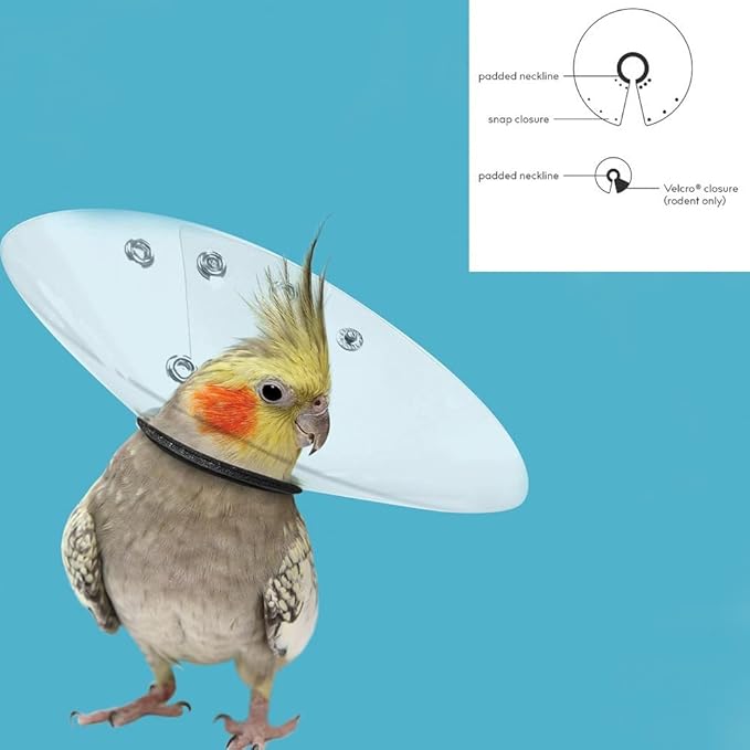 KVP Bird E-Collar, 2.75-3.5"/6"