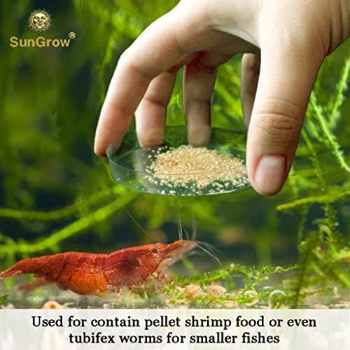 SunGrow Tough Borosilicate Glass Shrimp & Gecko Feed Dish, Wide and Deep, Transparent Basin for Shrimp Food, Dog & Cat Medicine Holder