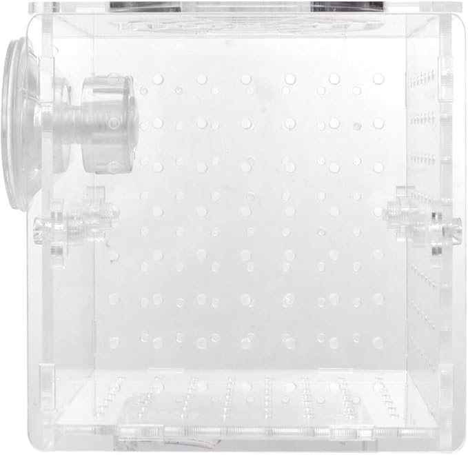 HOMSFOU Acrylic Fish Breeding Tank Box with 2mm Round Hole Suction Cup 10x10x10cm Isolation Aquarium Hatchery Incubator for Fish Fry and Betta Breeders