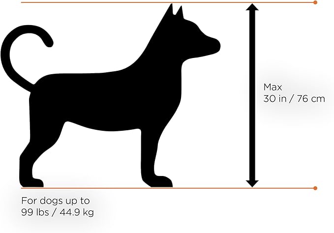 Thule Bexey pet Bike Trailer - Carrier for Small & Large Sized Dogs - Foldable Design - Easy to Connect to Bike - Padded Interior - Converts into Travel Crate - Durable Materials