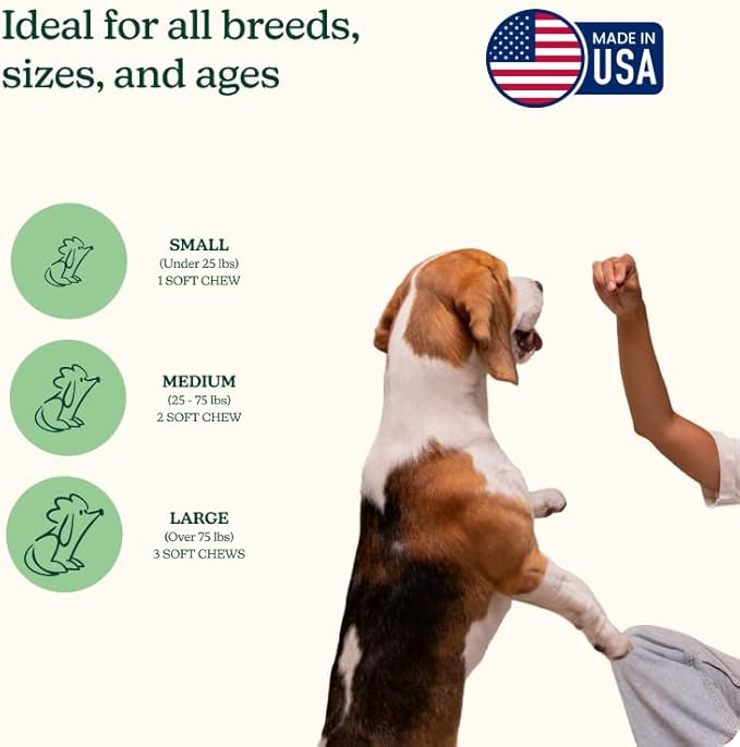 Reggie Skin & Coat Supplements for Dogs | Omega-3 Fish Oil & Vitamin E for Itchy Skin Relief, Shedding & Shiny Coat | Natural Dog Skin & Coat Chews | Vet-Approved & Made in USA | 60 Soft Chews