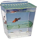 Penn-Plax Breed and Show Nursery Fish Tank