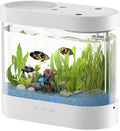 1.5 Gallon Betta Fish Tank with Filter & 7-Color LED Light, Self-Cleaning Aquarium Starter Kit with HD Acrylic, Quiet for Kids Beginners, Home Office Desktop Decoration.