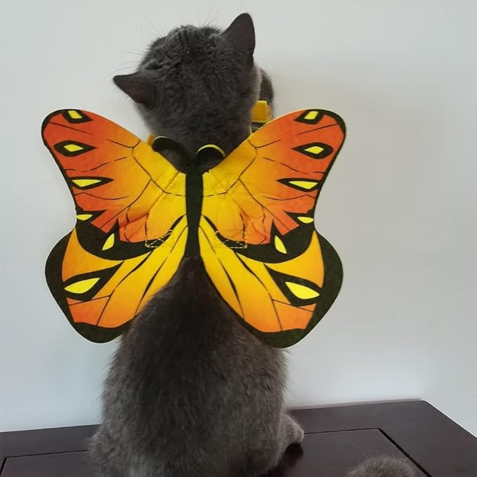 Cat Dog Butterfly Costume Wings for Halloween Party Decoration, Halloween Dog Cat Costume, Puppy Cat Dress Up Accessories