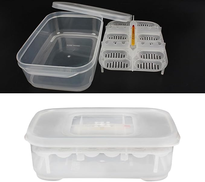 Angoily 3Pcs Transparent Reptile Egg Box Set with Thermometer for Snake and Lizard Egg Incubators 2.56X1.7X2.32 Inch Breeder Tray for Easy Observation and Cleaning
