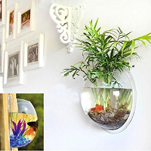 Acrylic Wall Mounted Fish Bowl, Hanging Aquarium Transparent Plastic Bubble Gold & Betta Fish Tank,Round Pot Flower Plant Vase Home Decoration (XL: 350mm)