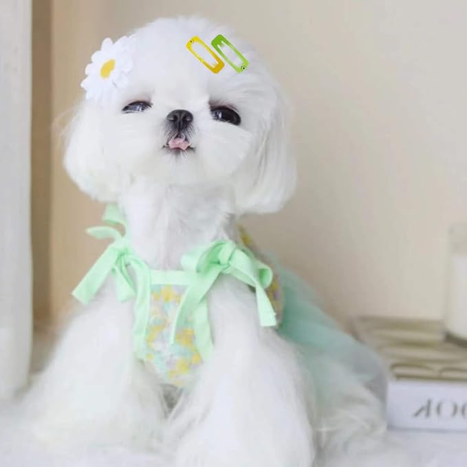 Dog Hair Clips Pet Hairpin Hair Accessories for Dog Cat Puppy Girl, 30 Piece Hair Clips, 100 Rubber Bands, Pet Accessories Storage Box