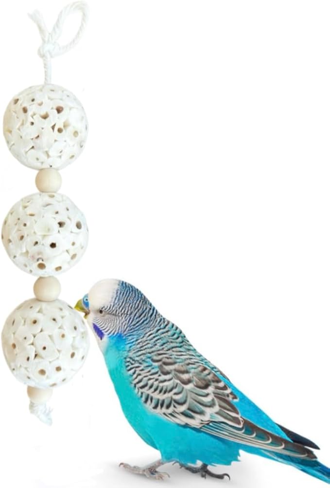 Triple Stack Natural Sola Ball Hanging Chew Toy for Small Birds - Set of Two
