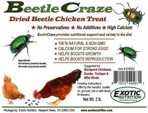 Exotic Nutrition 2 LB Beetle Craze Chicken Feed | High Protein Dried Beetles | Better Than Mealworms