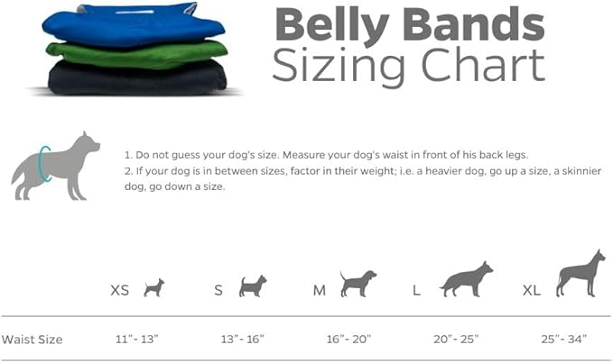 Pet Parents® Washable Belly Bands for Male Dogs (3pack) + Extendrs® of Durable Dog Diapers Male, Premium Male Dog Diapers & Dog Wraps (Small, Gentlemen)