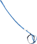 PetSafe Come With Me Kitty Cat Harness & Bungee Leash - Comfortable Cat Harness with Lightweight Bungee Leash for Outdoor Fun - More Secure Walks - Medium - Royal Blue