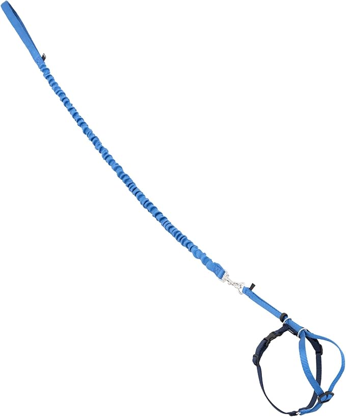 PetSafe Come With Me Kitty Cat Harness & Bungee Leash - Comfortable Cat Harness with Lightweight Bungee Leash for Outdoor Fun - More Secure Walks - Medium - Royal Blue