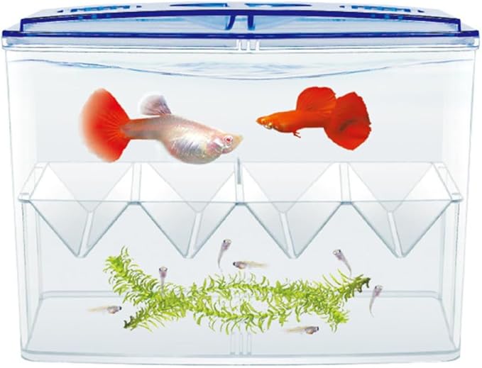 Small Fish Breeding Incubator Box Freestanding Hatchery Isolation Tank No Gap Seamless Design for Aquarium Fish Hatching and Reproduction
