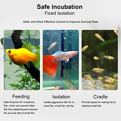 Aquarium Breeder Box, Transparent Acrylic Fish Isolation Box Fish Hatchery Incubator Holder for Newborn Fry Shrimp Guppy (30CM*10CM*10CM)
