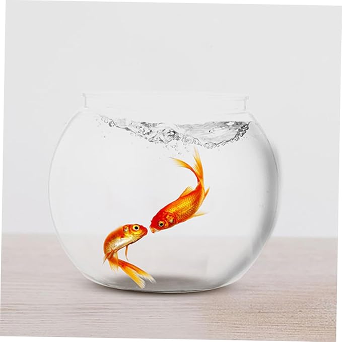 DOITOOL 2pcs Round Plastic Fish Bowls Large Desktop Aquariums for Betta and Goldfish Tabletop Adornment Office Decor