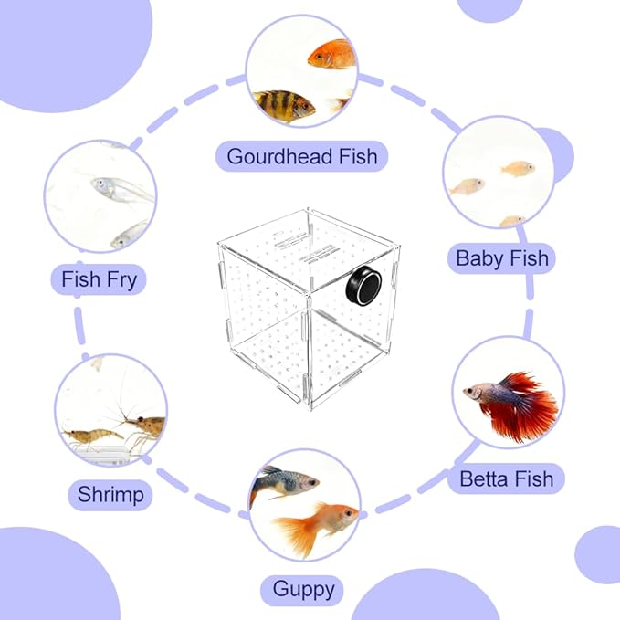 Aquarium Breeding Box,Magnetic Fixation Acrylic Fish Tank Isolation Box with Feeding Hole for Fish Hatching Rearing