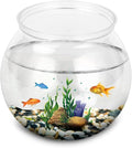 Mini Fish ,Classic Drum Fish Bowl Transparent Plastic Round Bowl Aquarium 360° View of Aquarium Centerpiece or Terrarium 4.9 x 3.9 Inches(Mini)