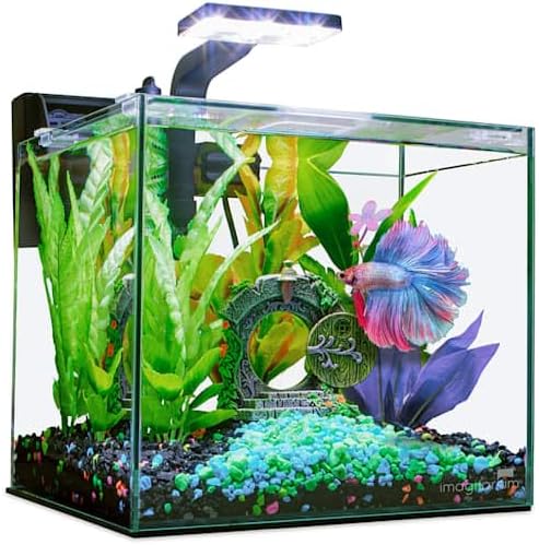 Imagitarium Glass Betta Aquarium Kit 2.5 Gallons