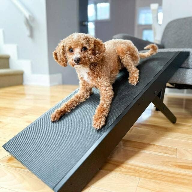 Dog Ramp for Couch, by DoggoRamps – Furniture Quality Solid Hardwood Ramp for Dogs to Get on Couch with Platform Top & Non-Slip Grip – Dog Couch Ramp for Small & Medium Dogs – 100% Made in N America