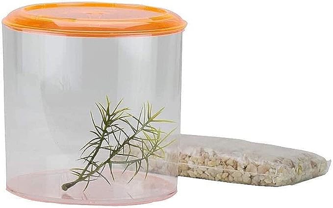 Lee's Round Betta Keeper