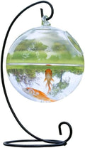 Spherical Glass Handmade Fish for Round Shape Hanging Glass Aquarium Fish Bowl Clear Plant Terrarium