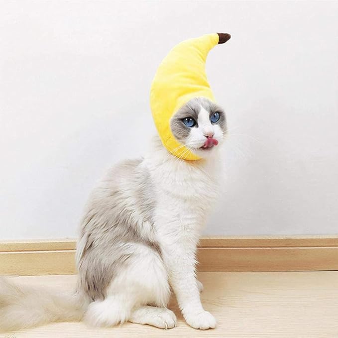 2 Pcs Halloween Cat Adorable Costume Funny Cat Hat for Pets and Small Dogs Party Costume Accessory Headwear(Sunflower, Banana)