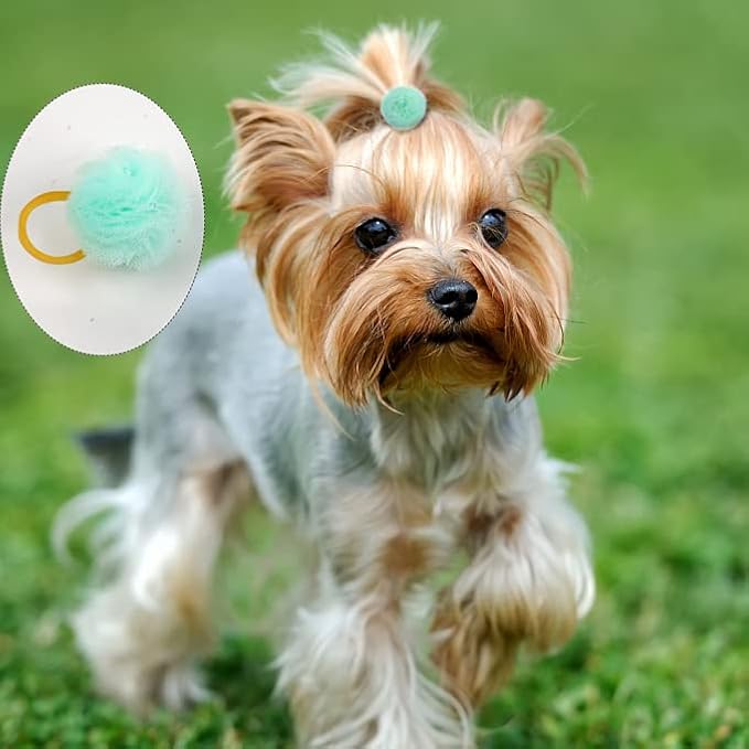 Qearl 48 Pcs Colored Ball Bows with Rubber Bands - Pet Hair Accessories for Dog, Puppy, and Cat Grooming