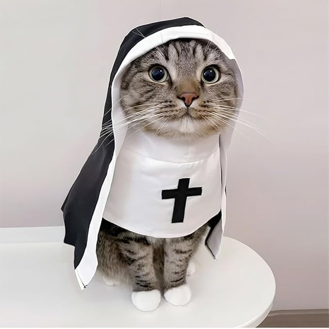 Cat Costume Nun Dress, Nun Dog Costume, Funny Halloween Cloak Outfit for Cat Small Medium Dogs, Cosplay Apparel for Photoshoots Parties Social Media, Adorable Pet Clothing (Black, Medium)