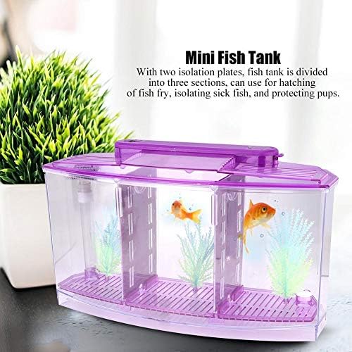 Mini Fish Box, Plastic Aquarium Isolation Box Acrylic Breeding Hatchery Small Fishes Incubator Mini Fish with Three Divisions and LED Light(Purple)