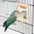 Litewoo Bird Mirror Wooden Hanging Swing Interactive Play Toys for Small Parrot Budgies Macaw African Grey Parakeet Cockatiel Conure Lovebird Cage Accessories (Bird Mirror Perch Stand-ONE)