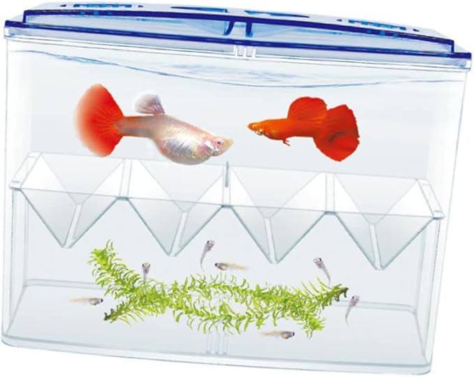 1PC Freestanding Small Fish Breeding Isolation Box Transparent Self Floating Hatching Tank for Safe Juvenile Fish Care Easy to Clean and Observe No Gap Design