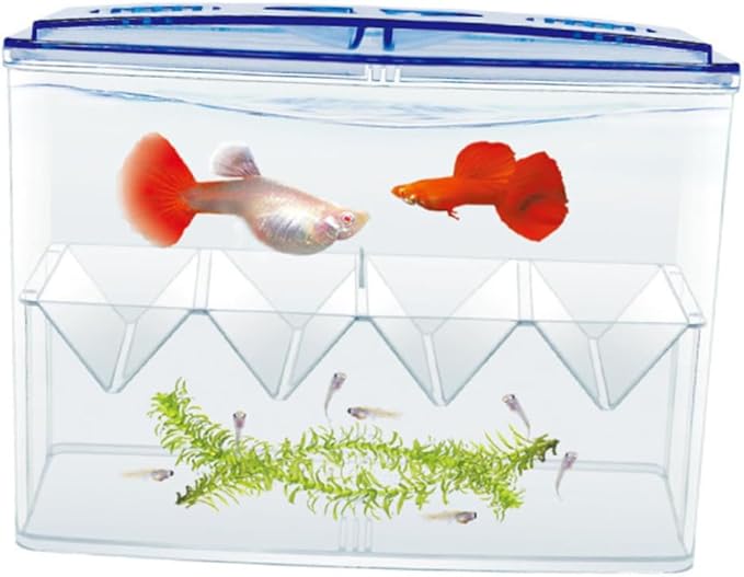 Small Fish Breeding Box Freestanding Incubator Suction Cups No Gap Isolation Tank for Fish Hatching and Reproduction