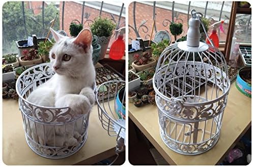PET SHOW Round Birdcages Metal Wall Hanging Bird Cage for Small Birds Wedding Party Indoor Ourdoor Decoration 13.8INCH White Pack of 1